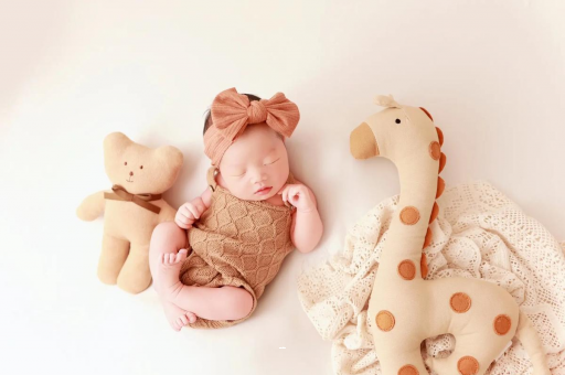 博白宝宝虾的做法 博白宝宝虾的做法